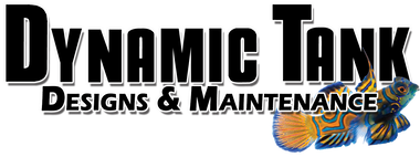 DynamicTank