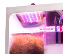 NEPTUNE SYSTEMS APEX GRO MACROALGAE REFUGIUM LED LIGHT
