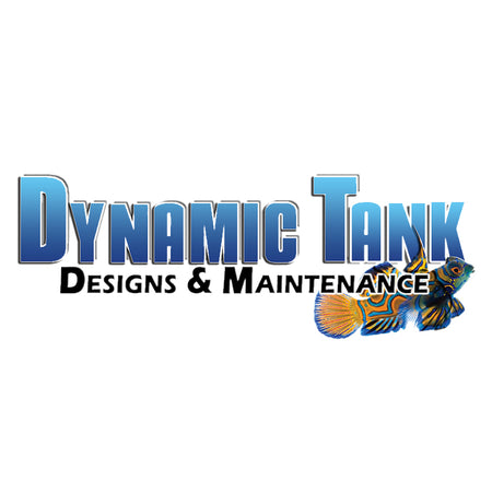 Dynamic Tank