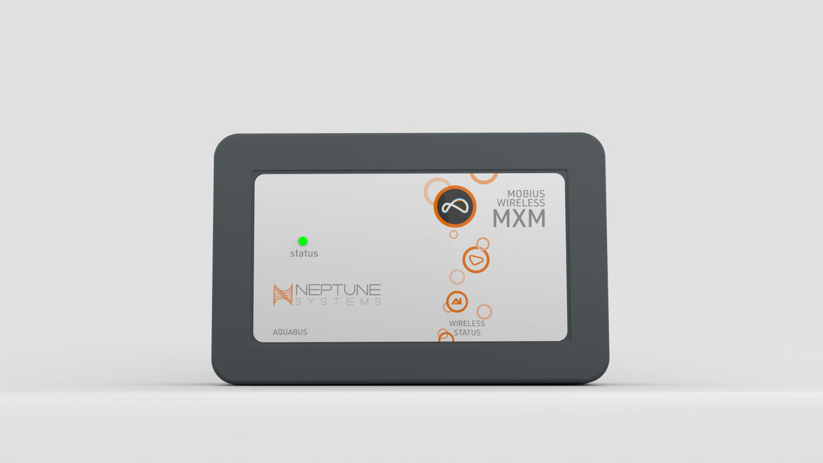 momimo152ページ MXMStill_04_1200x.jpg?v=1686747740