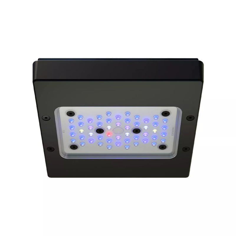 EcoTech Radion XR15 G6 Blue LED Light Fixture