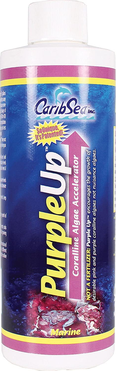 CaribSea Purple Up 8 Oz – Coraline Algae Accelerator For Reef Tanks