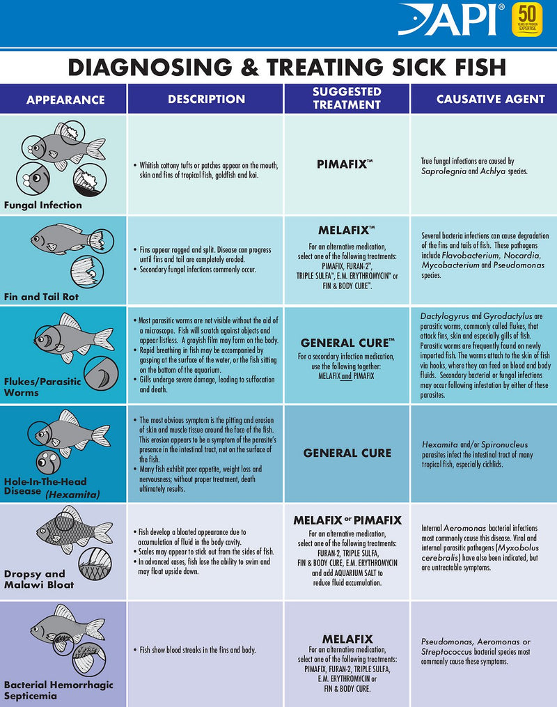 API GENERAL CURE AQUARIUM PARASITIC FISH DISEASE TREATMENT
