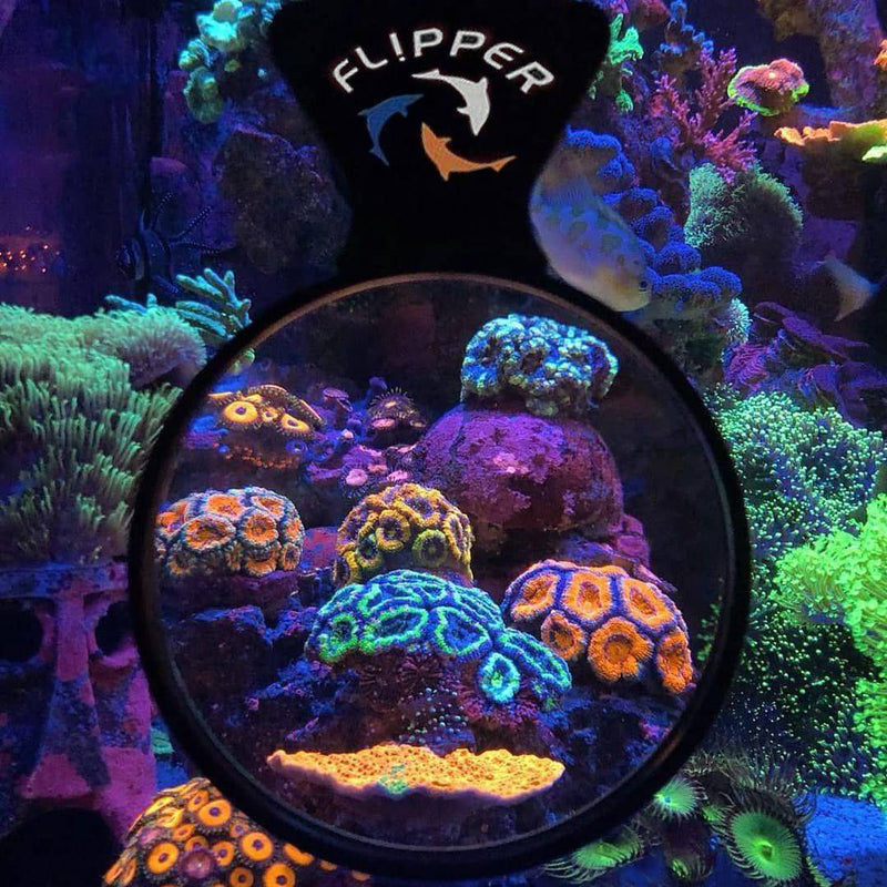FLIPPER DEEPSEE VIEWER MAGNIFIED MAGNETIC AQUARIUM VIEWER 4"