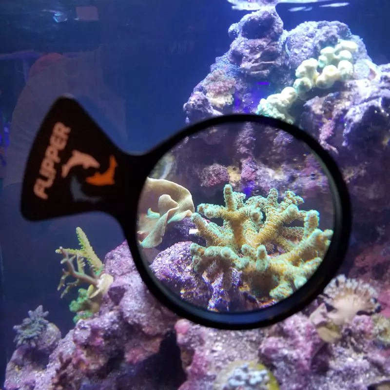 FLIPPER DEEPSEE VIEWER MAGNIFIED MAGNETIC AQUARIUM VIEWER 4"