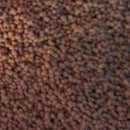 NEW LIFE SPECTRUM CICHLID 1mm REGULAR SINKING PELLETS FISH FOOD