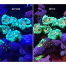 POLYPLAB CORAL VIEW LENS KIT V2 FOR PHONE OR TABLET CAMERAS