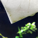 SEACHEM AQUAVITRO ALGAE CLEANING PAD GLASS OR ACRYLIC