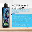 BRIGHTWELL AQUATICS MICROBACTER START XLM LIVE BACTERIA TANK STARTER FOR MARINE AND REEF AQUARIUM