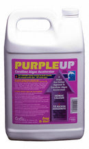 CARIBSEA PURPLEUP CORALINE ALGAE GROWTH SUPPLEMENT