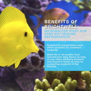 BRIGHTWELL AQUATICS MICROBACTER START XLM LIVE BACTERIA TANK STARTER FOR MARINE AND REEF AQUARIUM