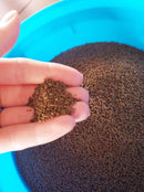 NEW LIFE SPECTRUM CICHLID 1mm REGULAR SINKING PELLETS FISH FOOD